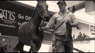 preview picture of video 'Magic Millions Gold Coast Yearling Sale TVC - 2015'