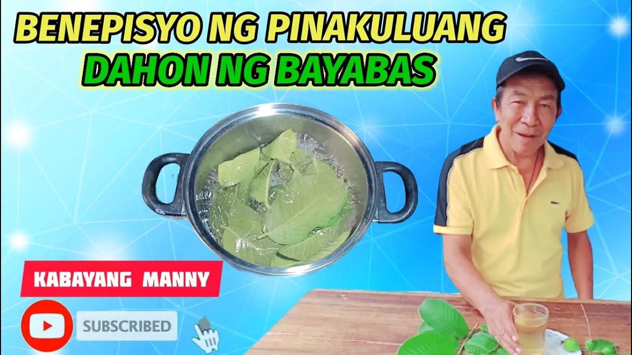 Putar video Benepisyo ng pinakuluang dahon ng bayabas sekarang Benepisyo ng pinakuluang dahon ng bayabas