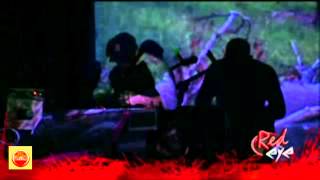 Black Moth Super Rainbow interview