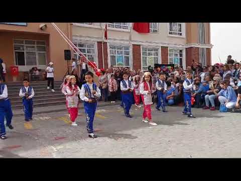 ADA CEREN 23 NISAN ERİK  DALI