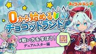 【初心者向け】3次職デュアルスターおすすめの戦い方解説！【チョコットランド公式】
