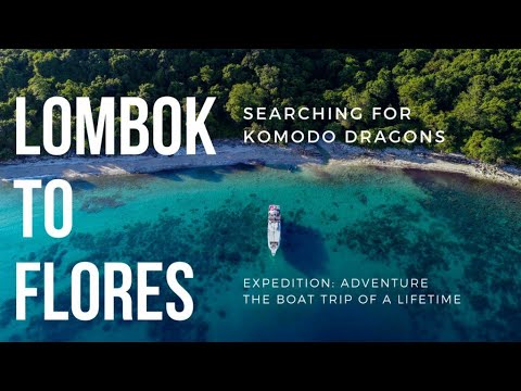 4D/3N KOMODO TOUR FROM LOMBOK INDONESIA