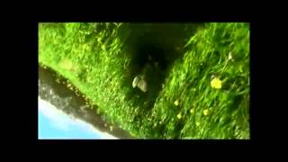 Paulo Gonzo - Espelho de outra água.wmv