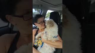 CHEWYS IS GETTING A FEEDING TUBE NOW CHEWYS IS GETTING A FEEDING TUBE NOW