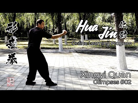 Xingyi Quan Glimpses #02 - Hua Jin Online Learning Program