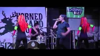 Seek Irony performing Skin 2 Skin Live at BatFest 2016