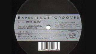 Steve Mason - Conception Vessel (1996)