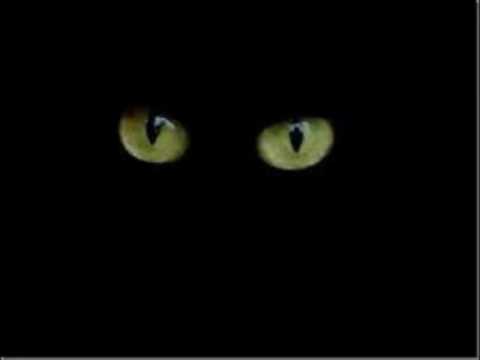 Cafezinho com Jesus= Tema- Meu Real Inimigo- Parte  01