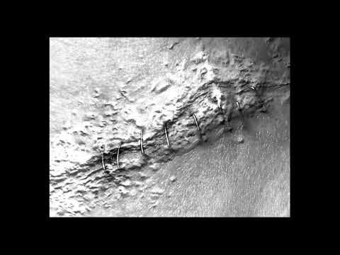 Neugeborene Nachtmusik | Turbulence [Enfant Terrible 2019]