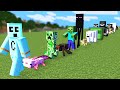 Minecraft But I Can Tame All Mobs