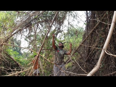SE03EP087 - Foraging BAMBOO SHOOTS ( LABONG ) ala BHUDA! at ang SARANGGOLA ni PETI | San Pablo City