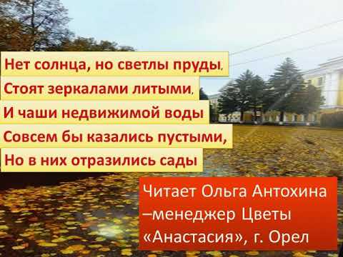Нет солнца но светлы пруды. И ветер играя листвой смешал молодые березки. Бунин нет солнца но светлы пруды. Нет солнца но светлы пруды бунин. Луценко лето пейзаж.