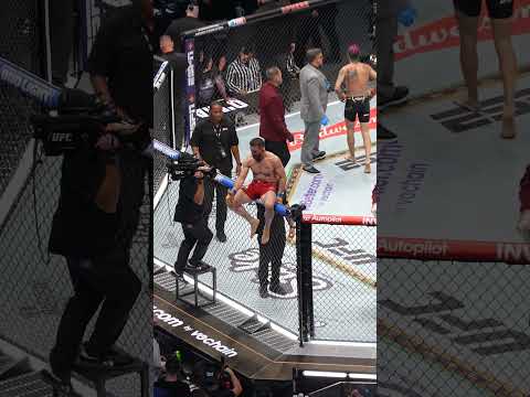 UFC Bantamweight Division Shaken After O’Malley’s Upset Loss