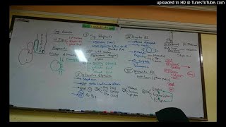 2) Dr. wael salah eye lid disorders 1