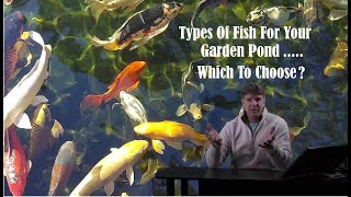 Types Of Pond Fish