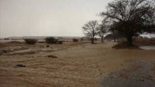 preview picture of video 'امطار ولا في الخيال'