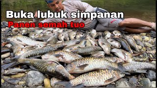 Download lagu Siang Malam Jalan Kaki Menuju Lubuk Simpanan Panen Ikan Semah Tuo mp3