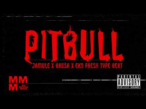 [FREE] Jamule x Bausa x Eko Fresh "PITBULL" Type Beat/Instrumental