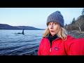 Visiting Scotland S Mysterious Loch Ness