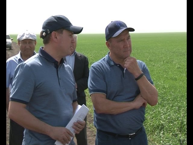 Нурлат кырлары министрны да сөендерде