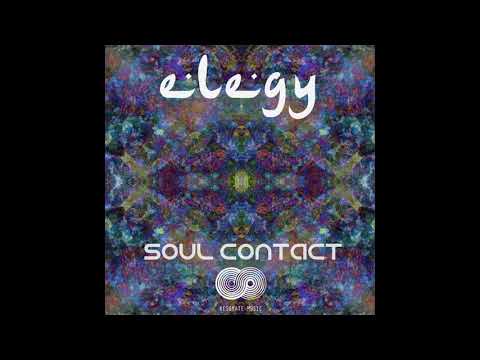 Elegy & Pulsar - Metaphor (Original Mix)