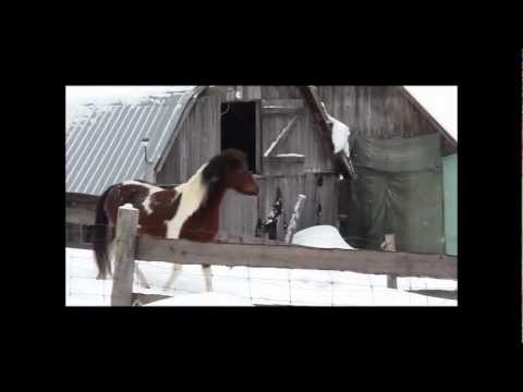 The healing cirlce (from Shaman)