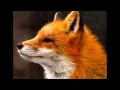 what does the fox say remix 