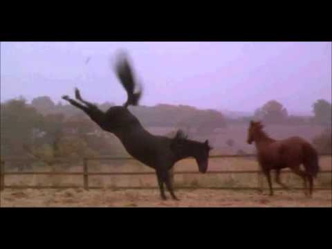 Broken - Lindsey Haun