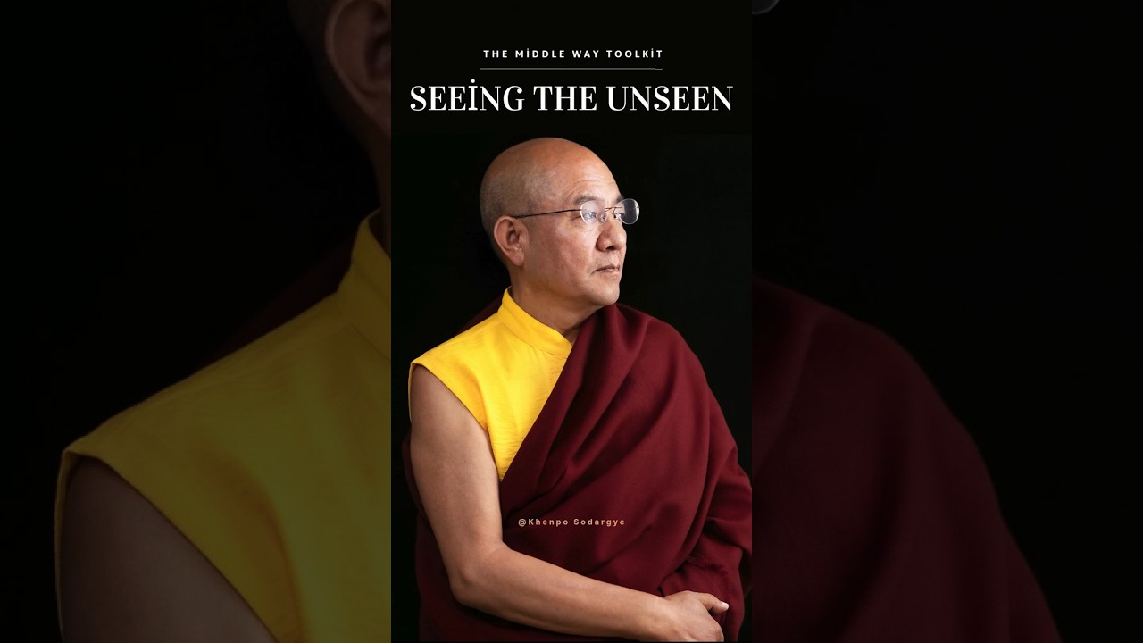 Seeing the Unseen （Khenpo Sodargye）