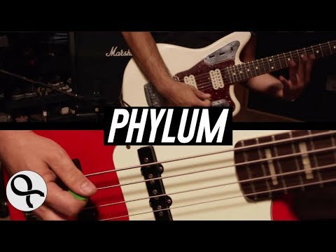 VANESSA ZAMORA | Joakks (Technicolor Fabrics) | Wicho | David Muñoz - Phylum (Official Music Video)