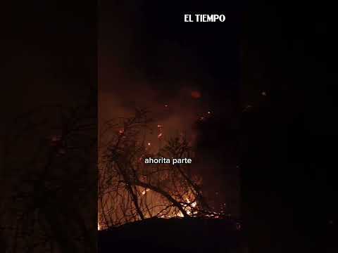 Tolima enfrenta emergencia por incendios forestales con 36 conflagraciones activas | EL TIEMPO