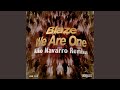 We Are One (Kiko Navarro New Life Remix)