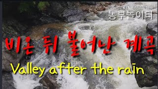 비온 뒤 불어난 계곡. 갑작스런 소나기의 계곡물  Valley after the rain