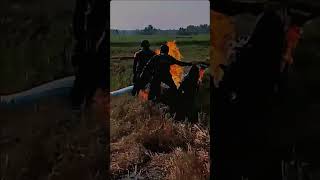 Download lagu Kamu nggak usah tau, bgaimana aku cari nafkah buat kamu mp3