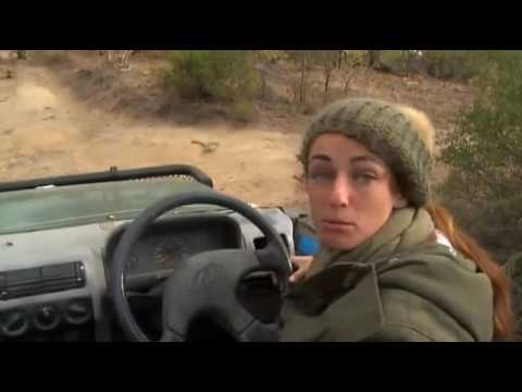 Safari Live Videos-Sunrise Drive- July 10- Drama And Cuteness