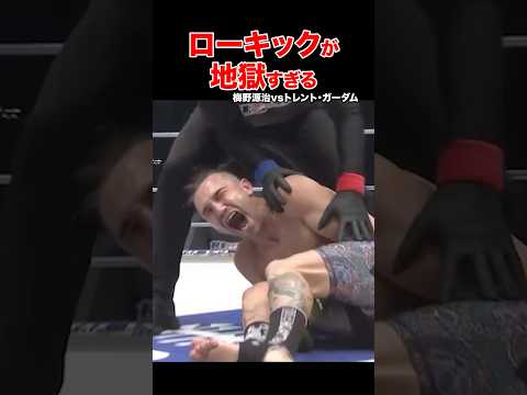 戦慄のキックKO！痛すぎて地獄・・・ #shorts #ローキック #格闘技 #ko
