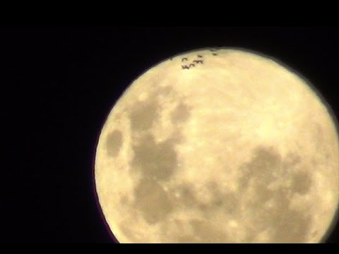 MAIOR SUPERLUA DE 2020 