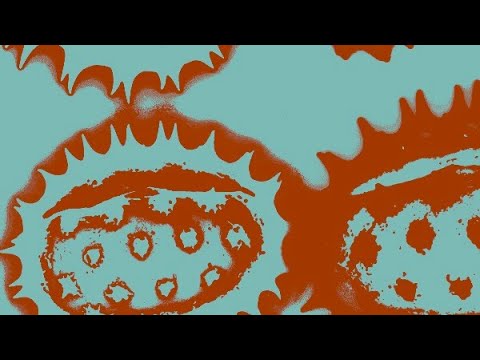 NEURO PROJECT John Peel 13th May 1994