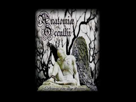 Anatomiae Occultii - Down on my Knees (versión Acústica)