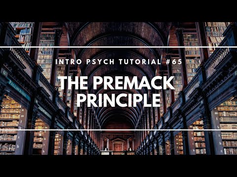 Premack Principle – DogTraining.World