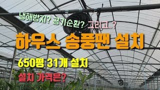 정부보조 스마트팜사업 송풍팬을 설치한 이유와 가격 비가림감귤 고품질감귤 하례조생 귀농귀촌
