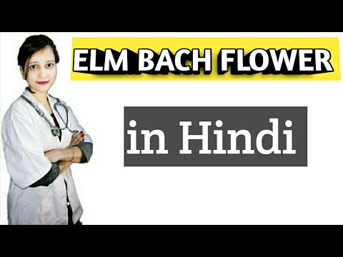 elm bach flower remedy medicine.                             elm flower medicine in Hindi Bachflower