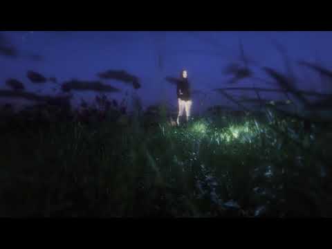 phytocene - promised dried blue (teaser)