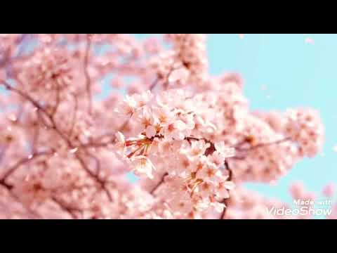 Star (OST Doctor John) - Minseo