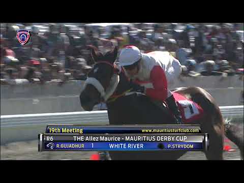 Winners of the day - 19th Meeting 2019 Season