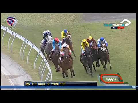 2021.12.05 Duke of York Cup (MRI) - Frosted Gold