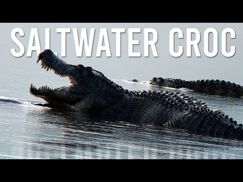 Sea of Monsters | The Isle Evrima