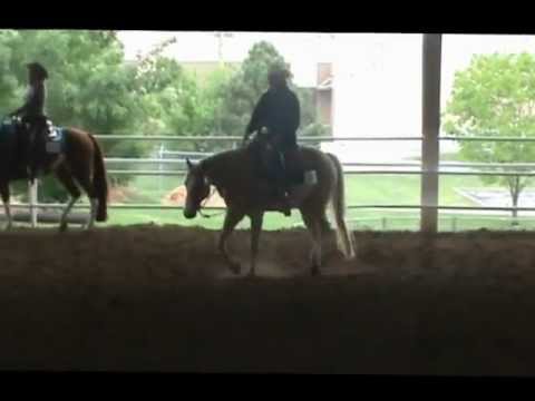 everything goes wt.wmv