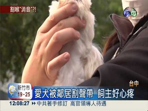 惡質寄養店! 嫌狗吵割聲帶"消音"