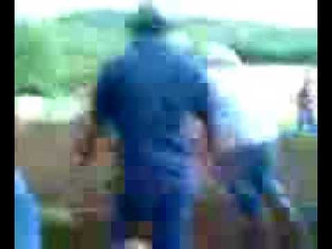 guachamaron del llano